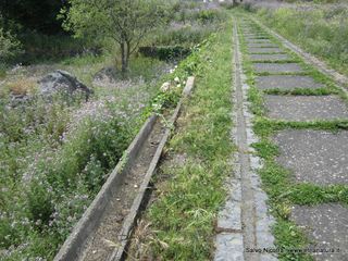 rme santa Venera27-04-2014 18-12-57